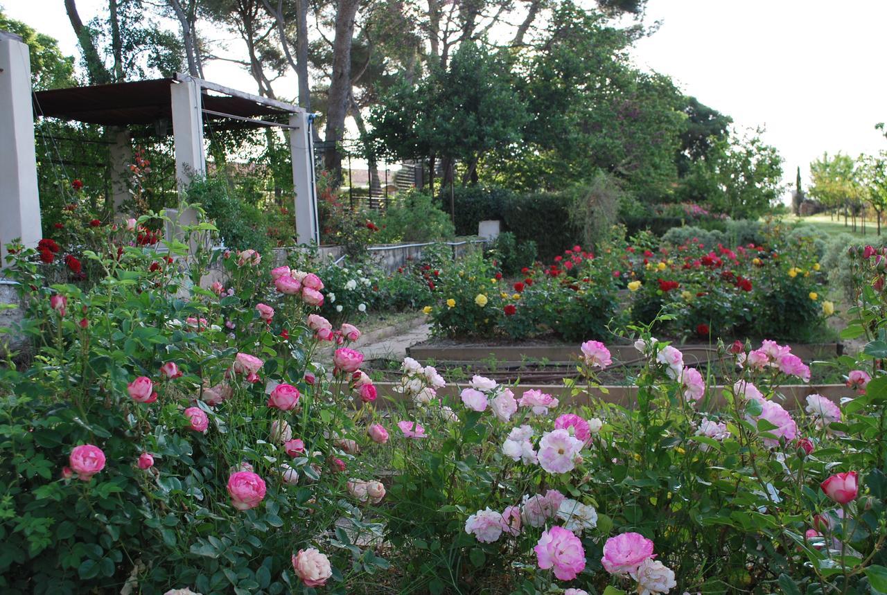 Chateau Sainte Colombe B&B 외부 사진
